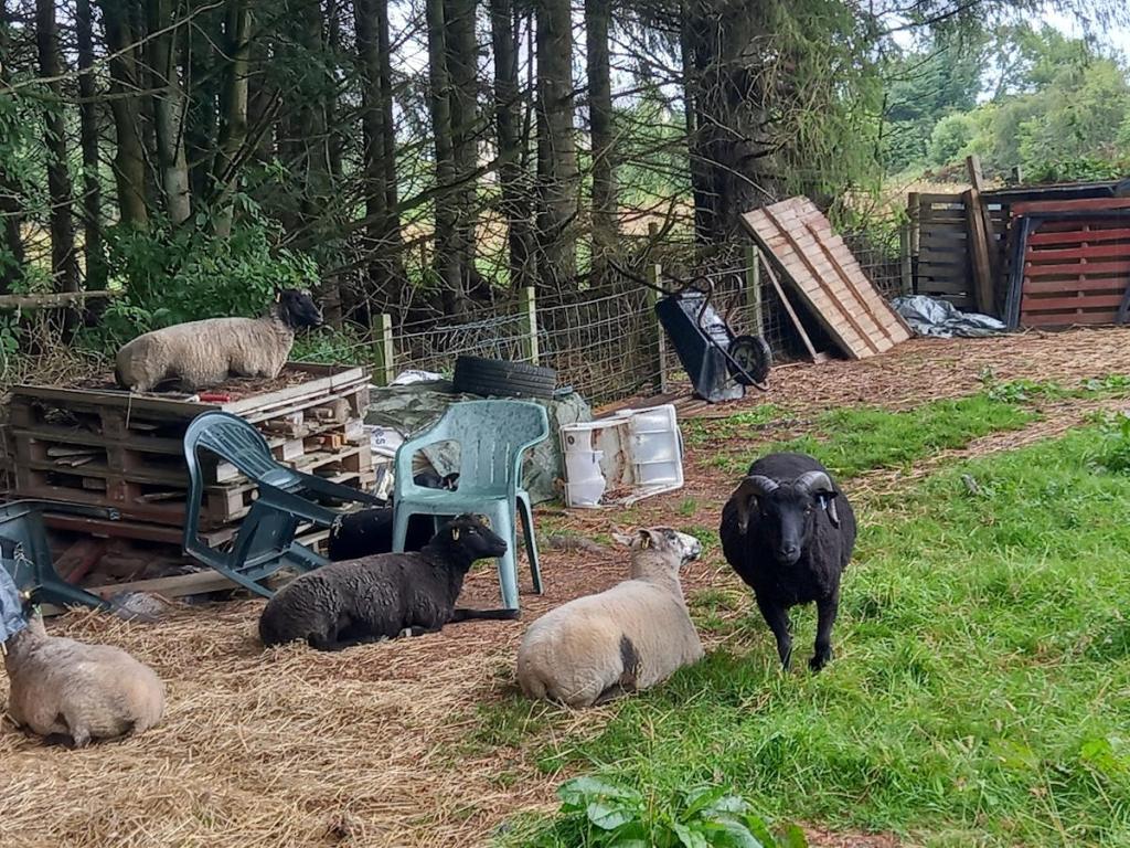 A morning theophany at Noah’s&nbsp;Arcs