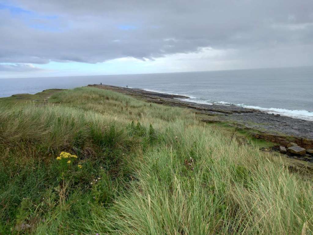 St Aebbe’s calling to redeem the&nbsp;land